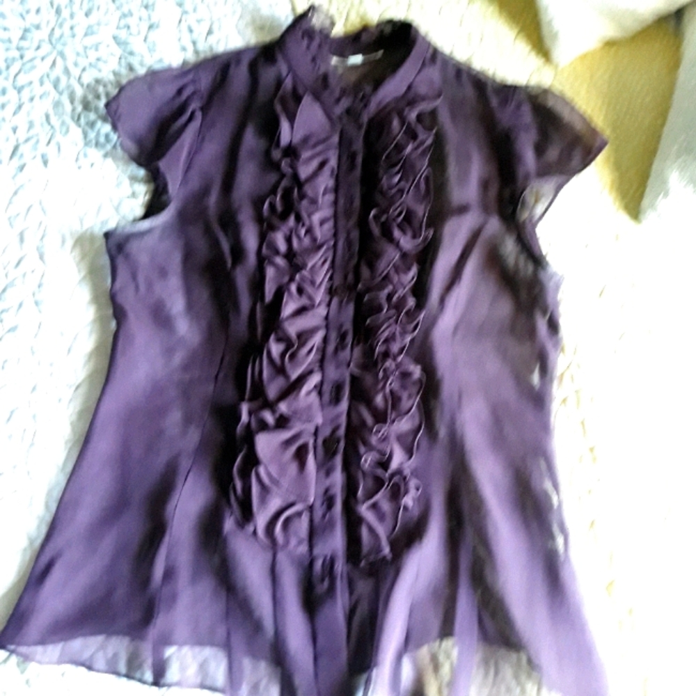 Silk Georgette Plum Blouse - Nannette